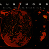 Lustmord - The Place Where the Black Stars Hang